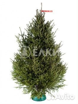 Новогодняя елка оптом и в розницу