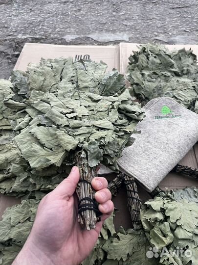 Веники дубовые липовые травы для бани