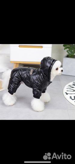 Одежда для маленьких собак