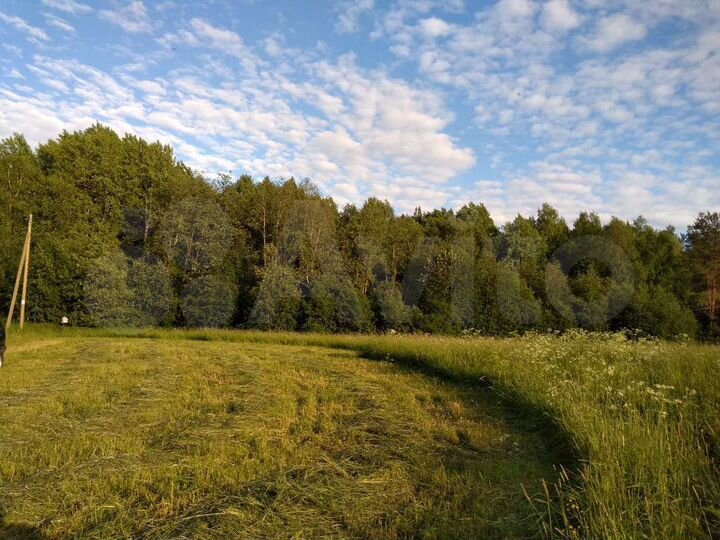 Участок 14 сот. (СНТ, ДНП)