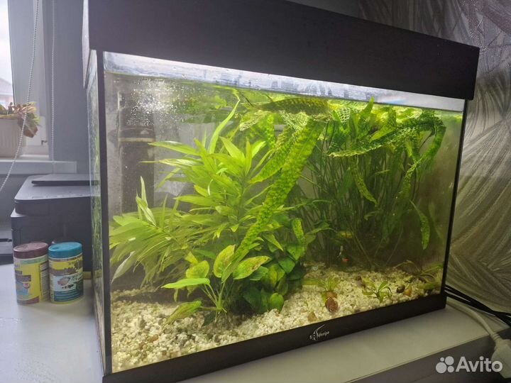 Аквариум 60 л + фильтр + грунт