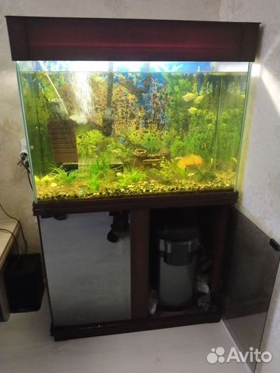 Аквариум с тумбой 156 литров