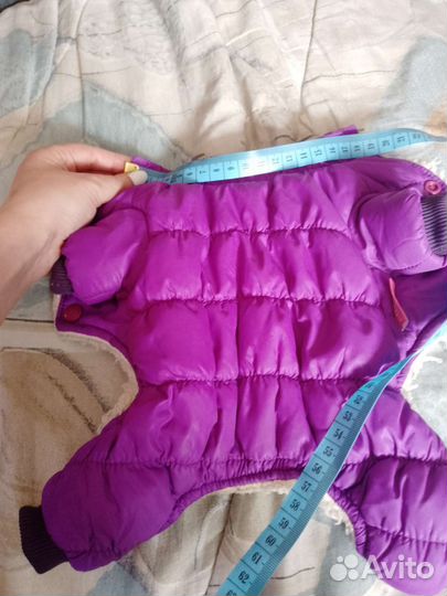 Комбенизон для животных