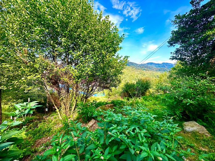 Участок 4 сот. (ИЖС)