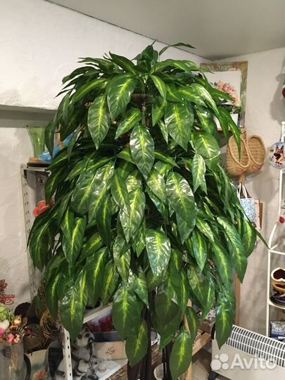 Искусственные растения