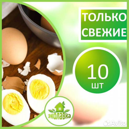 Домашние куриные яйца