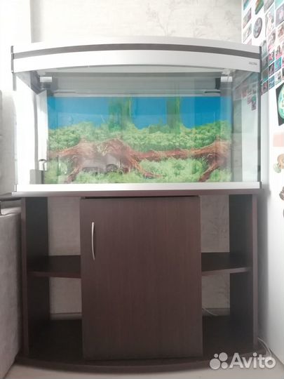 Продам аквариум