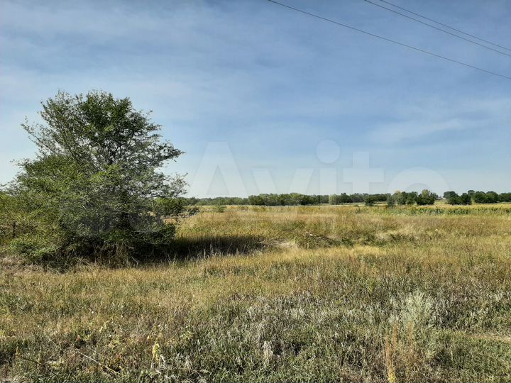 Участок 10 сот. (СНТ, ДНП)