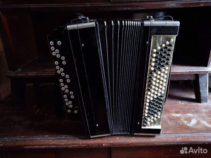 Баян тульский