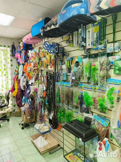 Корма для животных