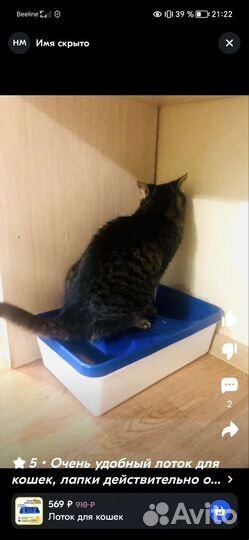 Туалет для кошек