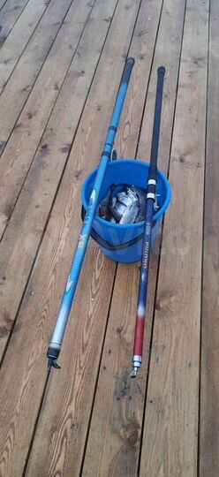 Дом 47,9 м² на участке 15 сот.