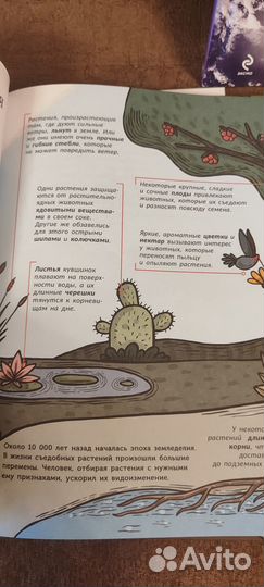 Познавательные книги для детей