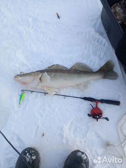 Набор ратлинов