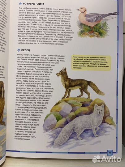 Детская энциклопедия