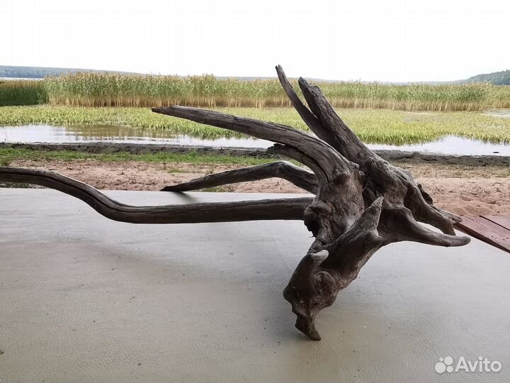 Коряги для аквариума террариума