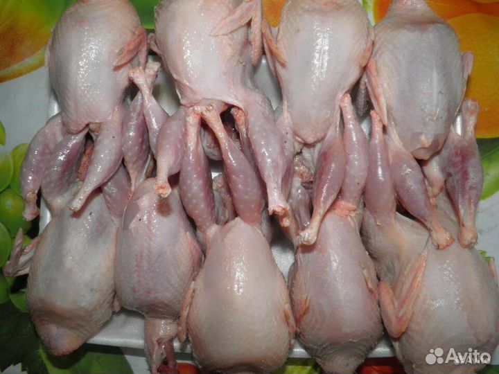 Мясо перепелов