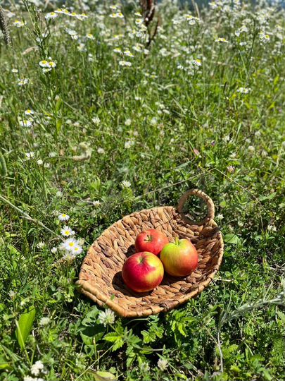 Участок 6 сот. (ИЖС)