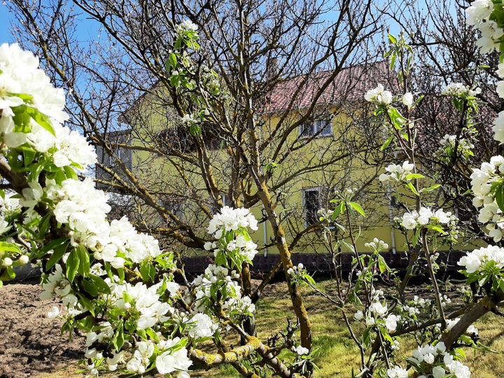 Дом 255,5 м² на участке 15,2 сот.