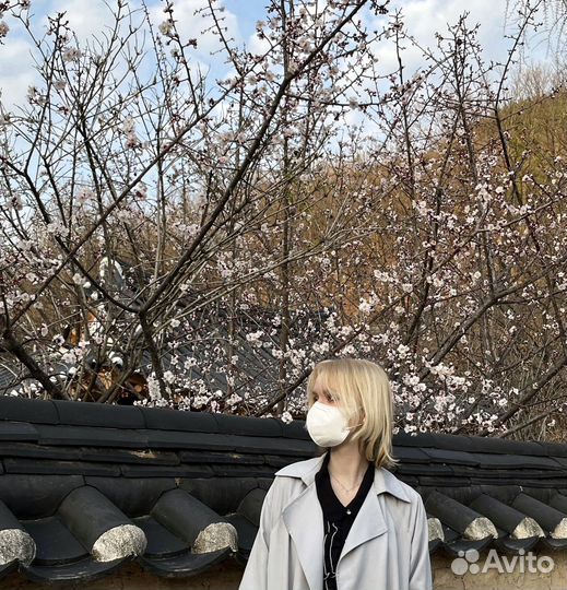 Репетитор по корейскому языку