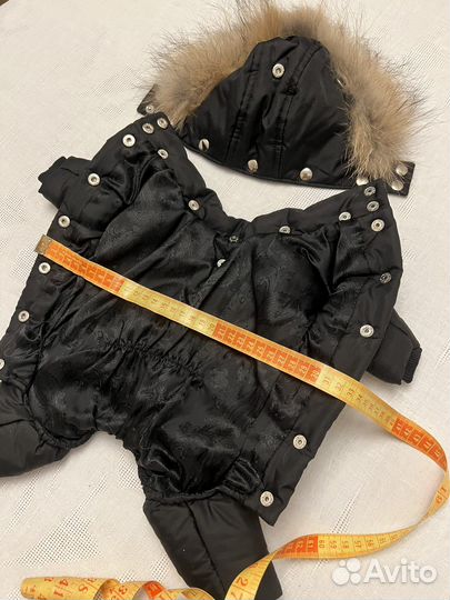 Одежда для собак