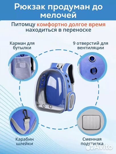 Прокат переноски - рюкзака для кошек и собак