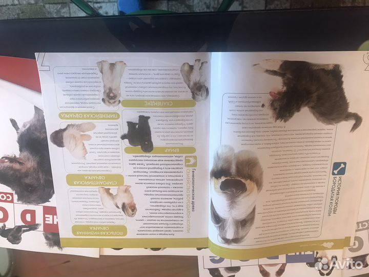 Журналы про собак