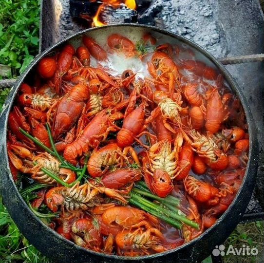 Раки вареные