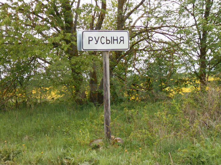 Участок 20 сот. (ИЖС)