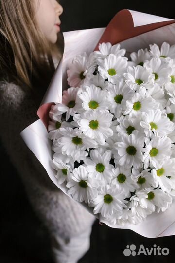 Хризантема букет цветы с доставкой 24