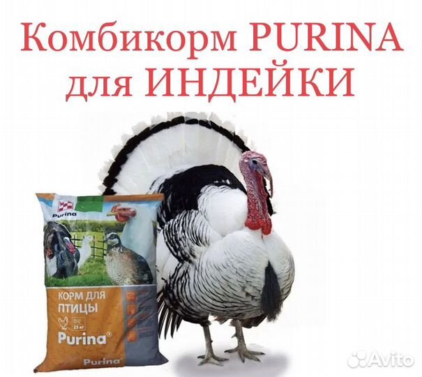 Комбикорм Purina для индейки