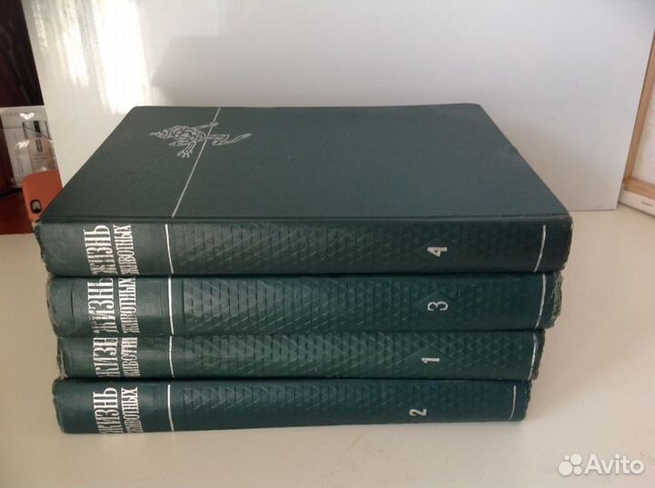 Энциклопедия 