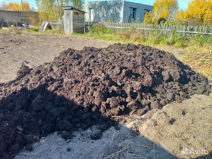 Перегной в Ишиме