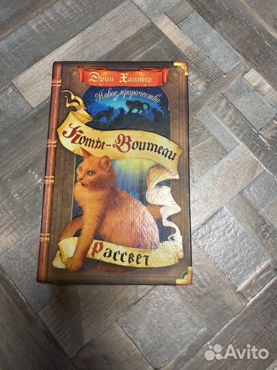 Коты-воители Эрин Хантер