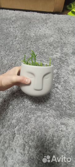 Каменный цветок