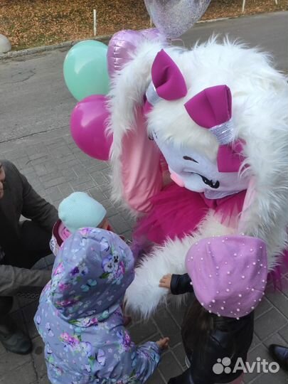 Поздравление от зайки Праздник Аниматор