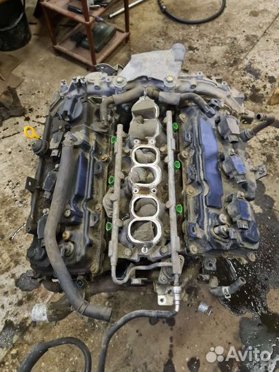 Двигатель Nissan Murano Z 51