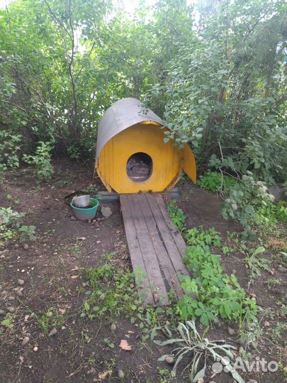 Конура для собаки