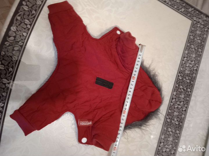 Одежда для маленьких собак xs