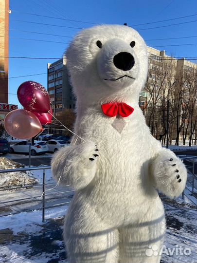 Белый мишка поздравление ростовой медведь аниматор