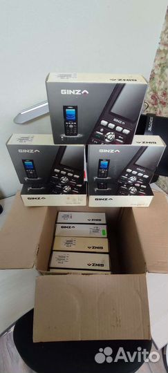Ginza MS100