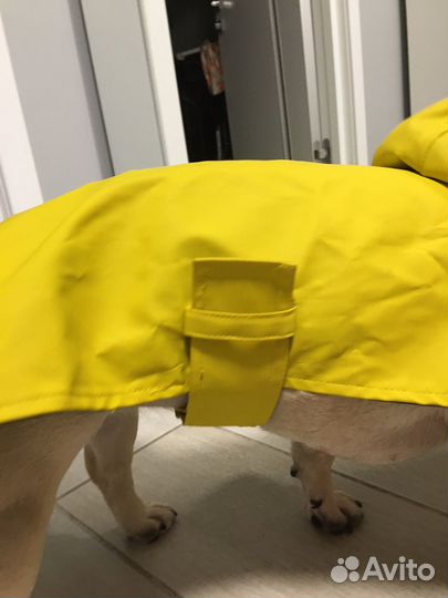 Дождевик для собаки
