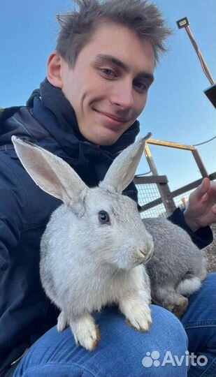 Тренер/инструктор по сноуборду