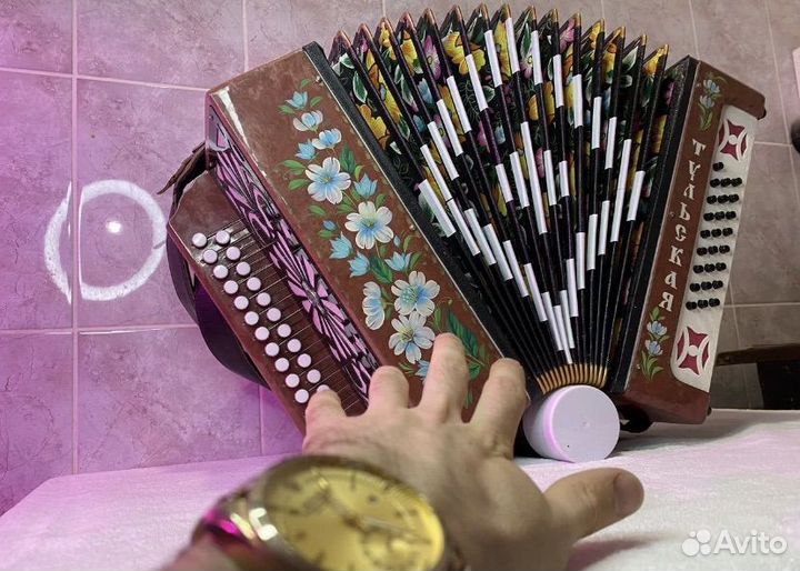 Современная Тульская Красавица 301 М