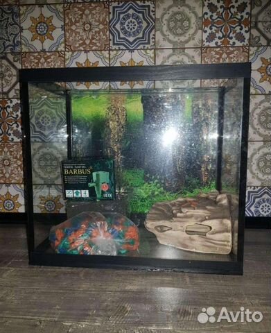 Аквариум для рыбок или черепах