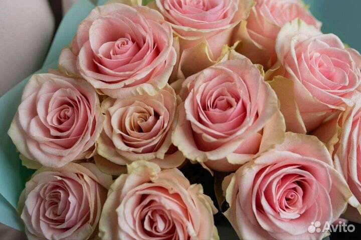 Букет эквадорских роз