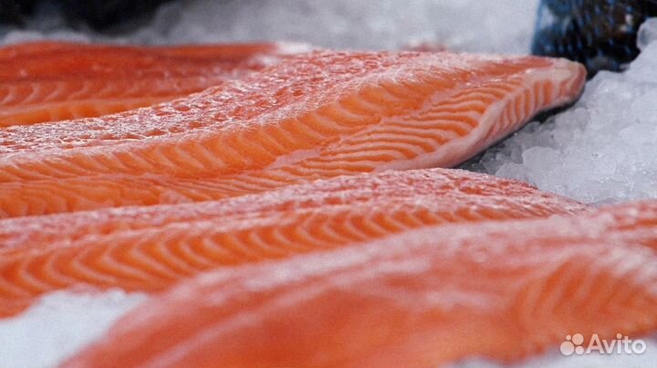 Филе семги охлажденное Мурманск
