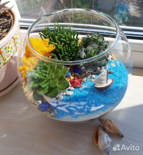 Флорариум. Подарки. Цветы