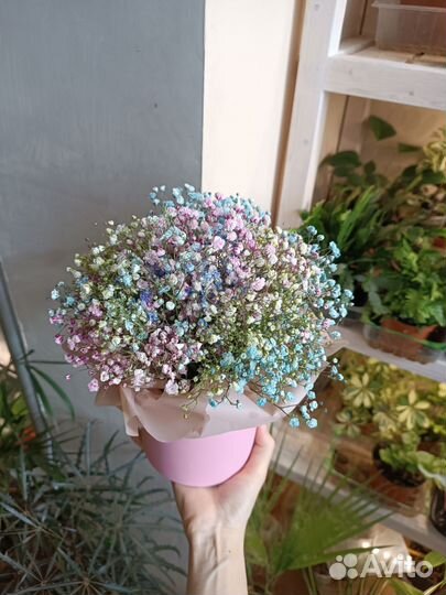 Букет из Гипсофилы. Цветы