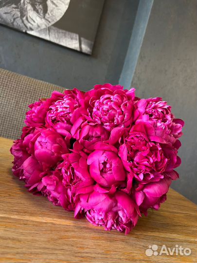 Корни пионов